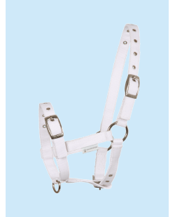 WALDHAUSEN - Licol pour poulain blanc