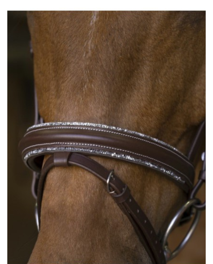 NORTON - Filet Rock marron