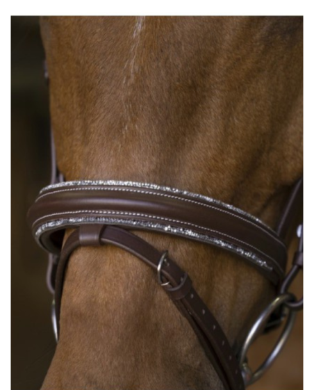 NORTON - Filet Rock marron
