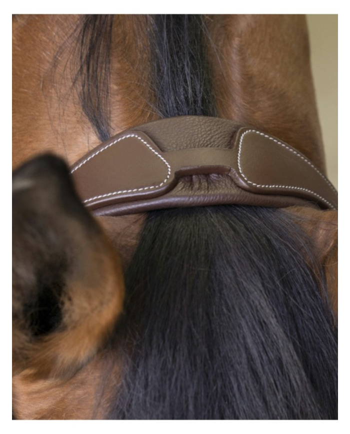 NORTON - Filet Rock marron