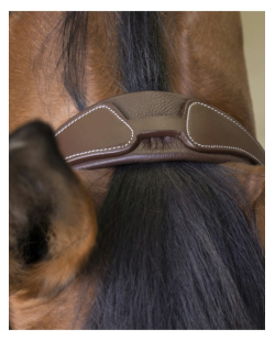 NORTON - Filet Rock marron
