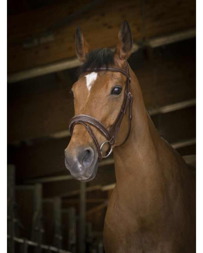 NORTON - Filet Rock marron