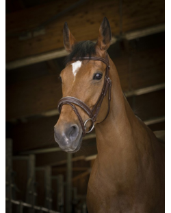 NORTON - Filet Rock marron