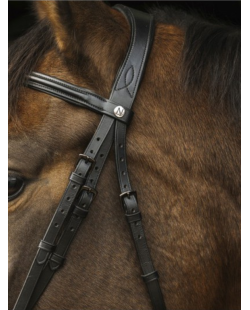 NORTON - Filet Dark