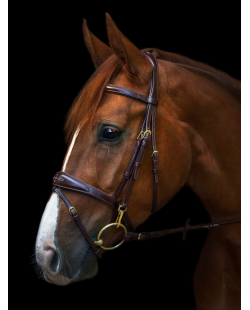 UTZON - Bridon Belmond