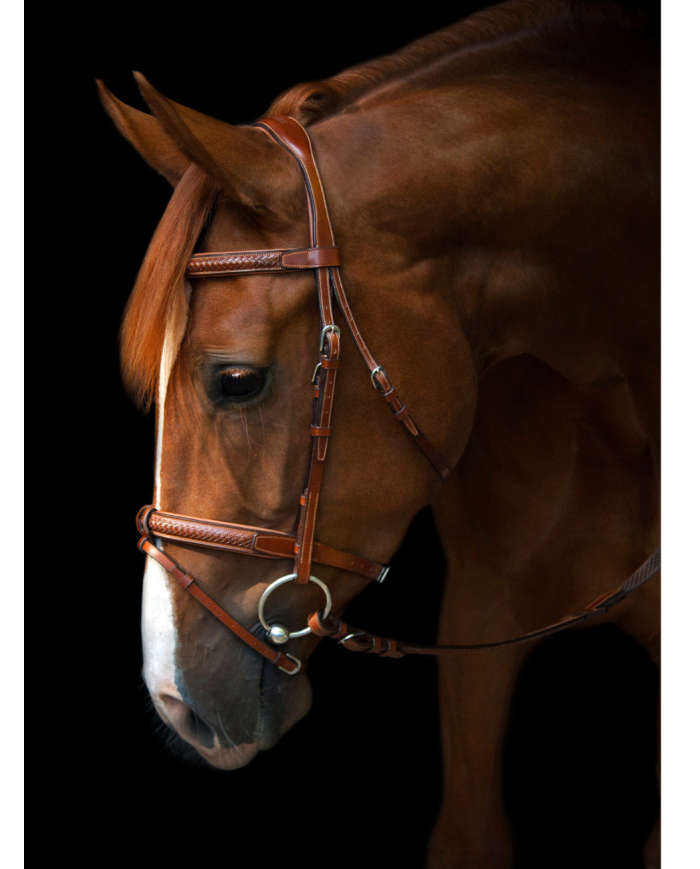 UTZON - Bridon Grand Prix