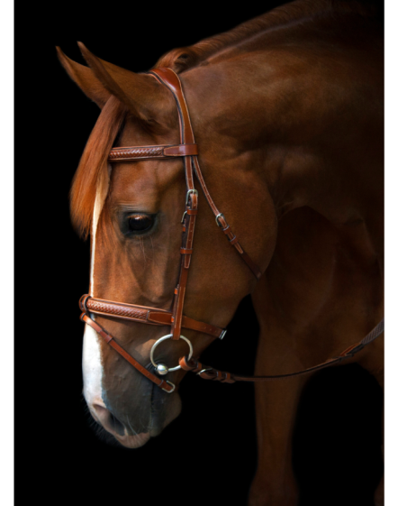 UTZON - Bridon Grand Prix