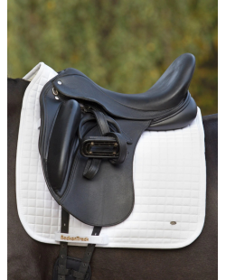BACK ON TRACK - Tapis dressage NO.I