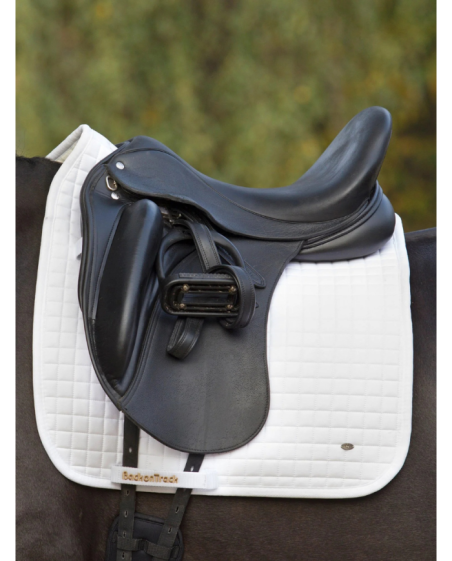 BACK ON TRACK - Tapis dressage NO.I