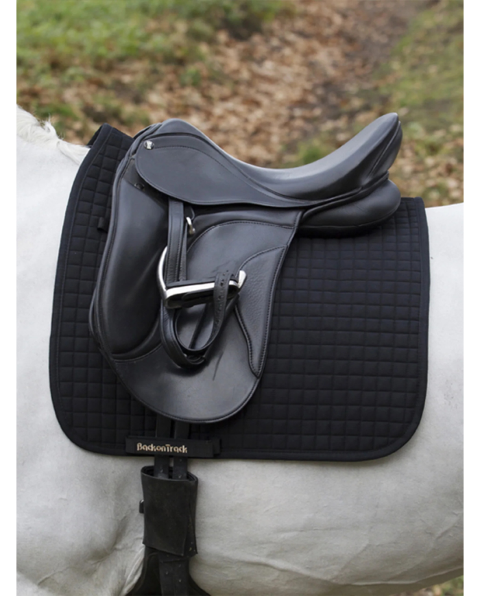 BACK ON TRACK - Tapis dressage NO.I