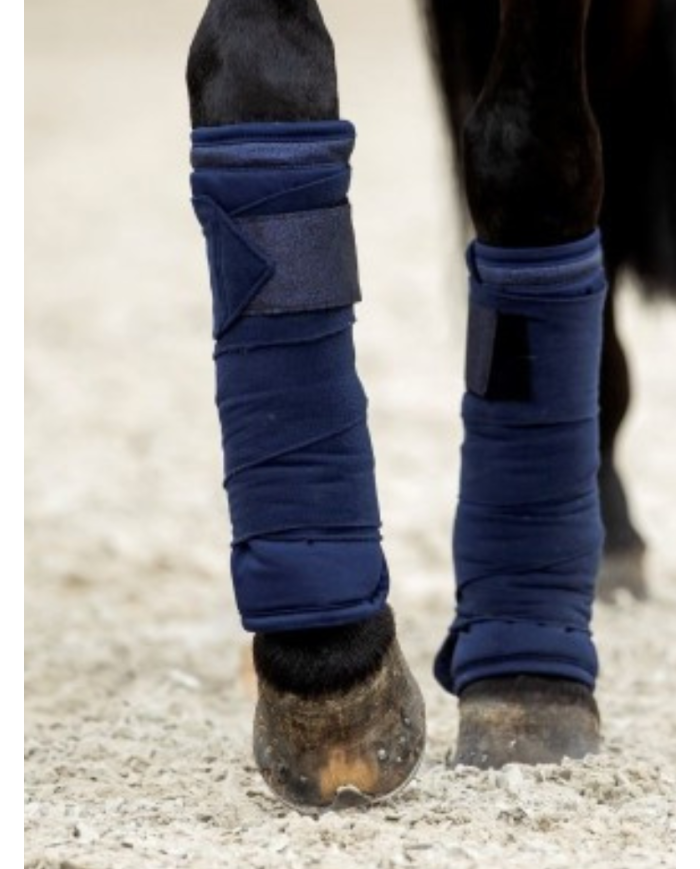 Bandes Polo Glitter
