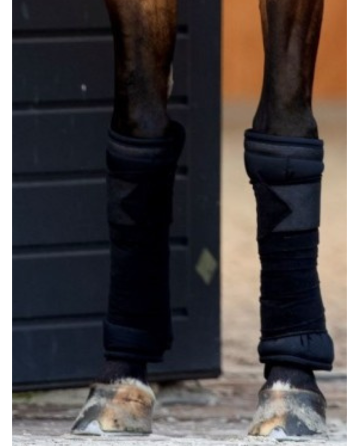 Bandes Polo Glitter