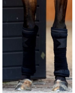 Bandes Polo Glitter