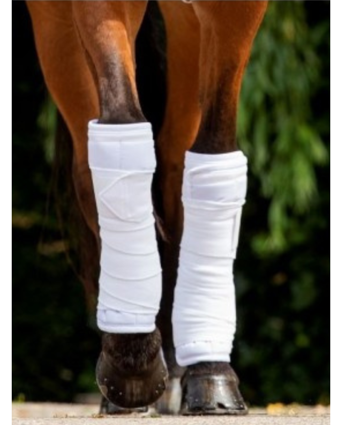 Bandes Polo Glitter