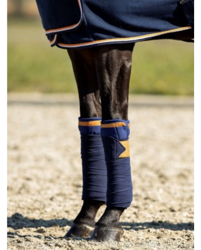 Bandes de polo Blue Moon