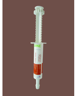 ALLIANCE EQUINE - Confort digestif diarrhée