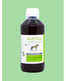 ALLIANCE EQUINE - Arti'flex Souplesse articulaire