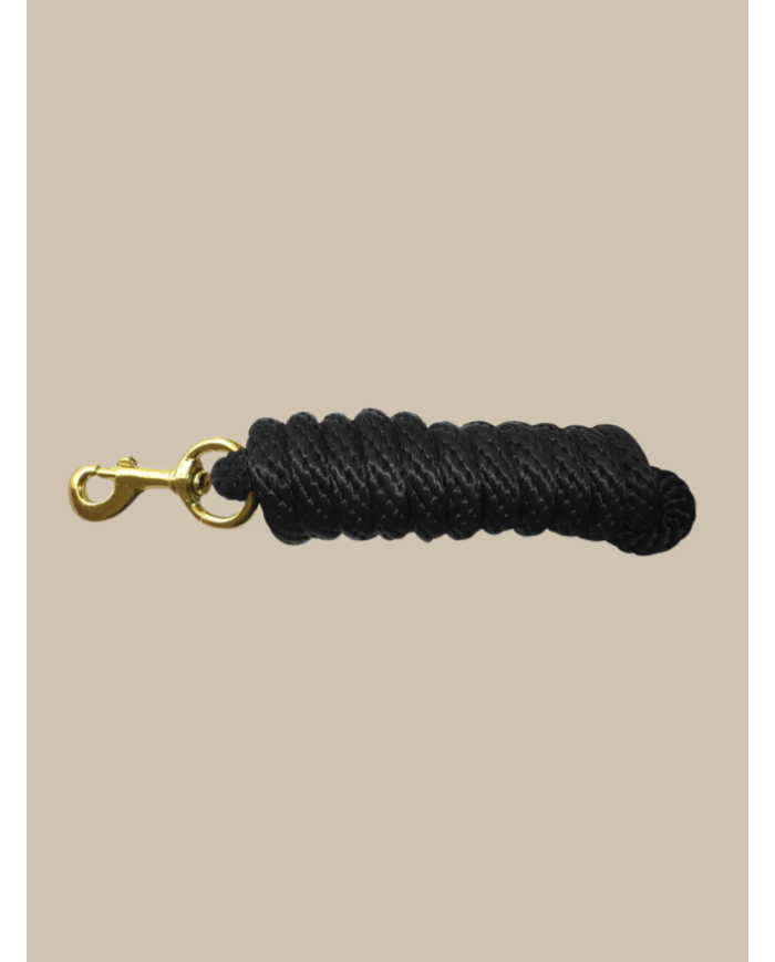 Longe d'attache boucle dorée 2M