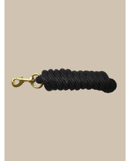 Longe d'attache boucle dorée 2M