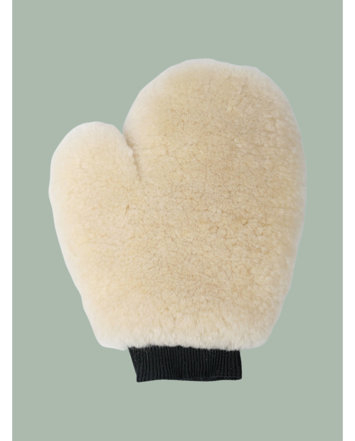 HARRY'S HORSE : Gant Merino
