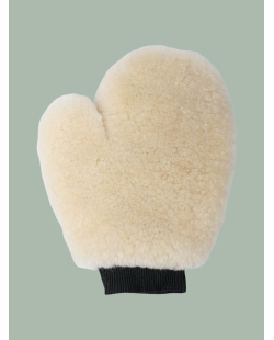 HARRY'S HORSE : Gant Merino