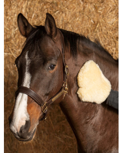 HARRY'S HORSE : Gant Merino