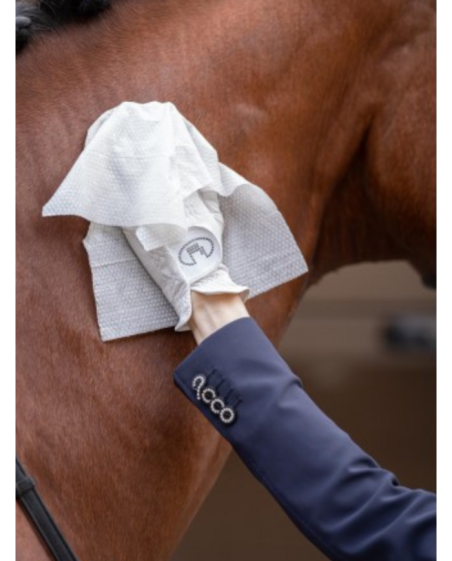 Lingettes nettoyantes pour cheval