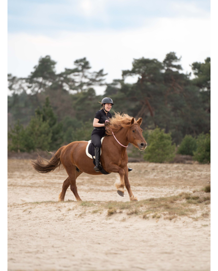 IMPERIAL RIDING - Cordelette