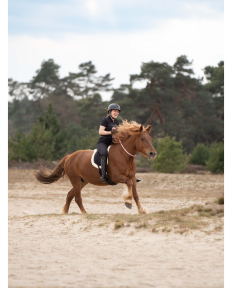 IMPERIAL RIDING - Cordelette