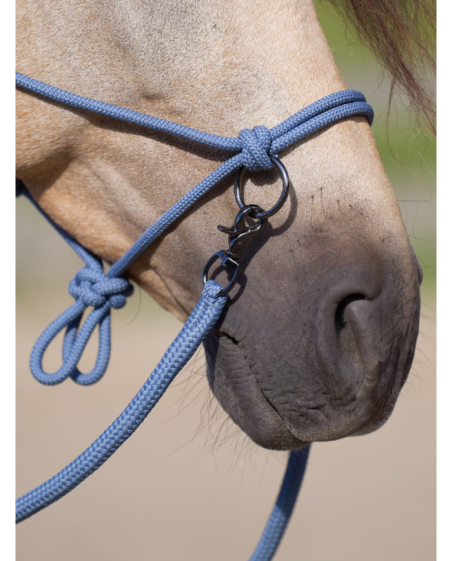 IMPERIAL RIDING - Licol corde et longe