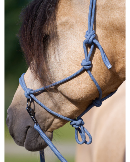 IMPERIAL RIDING - Licol corde et longe