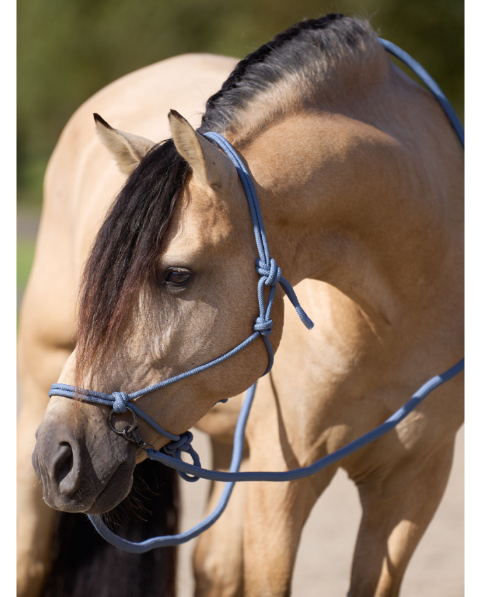 IMPERIAL RIDING - Licol corde et longe