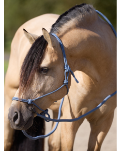 IMPERIAL RIDING - Licol corde et longe