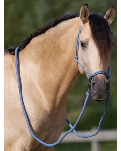 IMPERIAL RIDING - Licol corde et longe