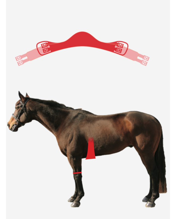 MATTES - Sangle courte athletico en tissu
