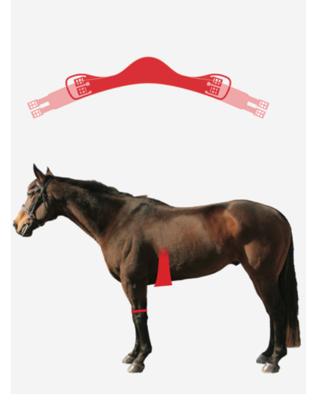 MATTES - Sangle courte athletico en tissu