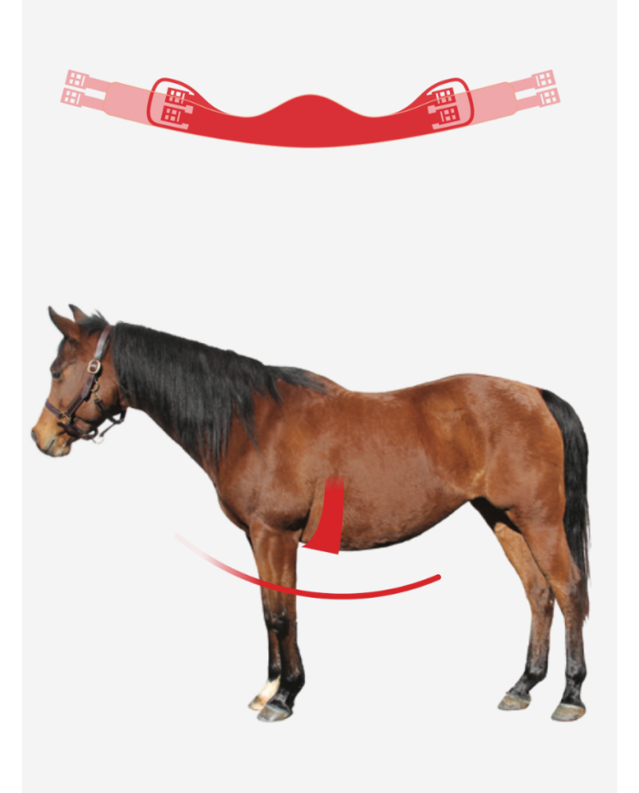 MATTES - Sangle courte demi-lune en cuir