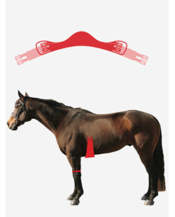 MATTES - Sangle courte athletico en cuir
