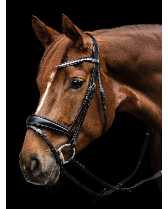 WALDHAUSEN - Bridon S-Line Essential