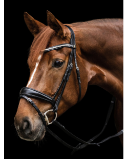 WALDHAUSEN - Bridon S-Line Essential