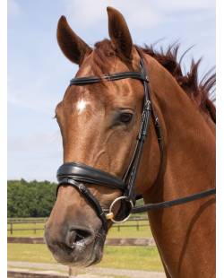 HARRY'S HORSE - Bridon Elegance