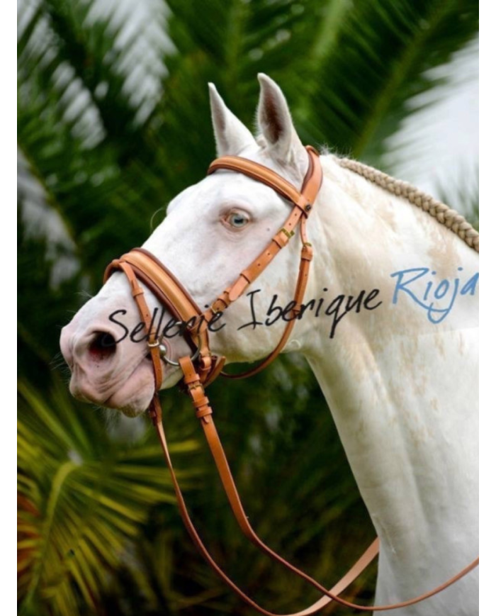 ZALDI - Bridon SANJORGE