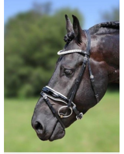 HB - Bridon Glamerdale