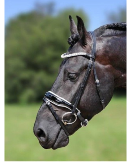 HB - Bridon Glamerdale