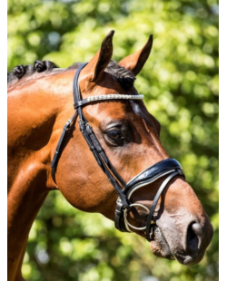 HB - Bridon Glamerdale