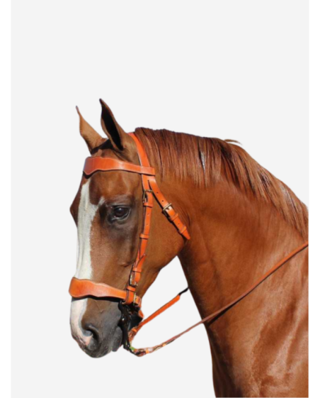 Bridon portugais sans ornements