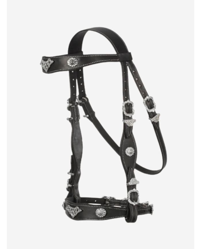 Bridon portugais Cortesia ECO