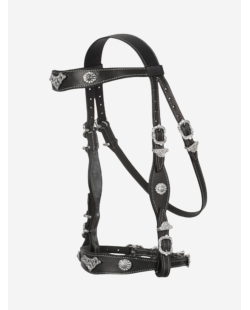 Bridon portugais Cortesia ECO