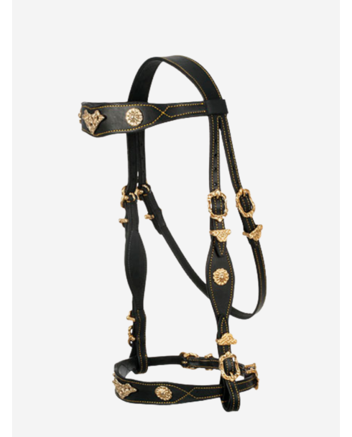 Bridon portugais Cortesia ECO