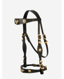 Bridon portugais Cortesia ECO